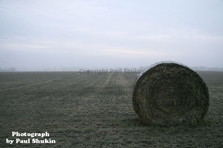 hayroll