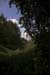 DarkTreesShadowHighlight